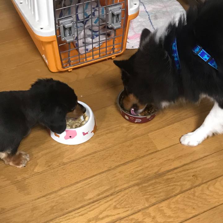 Da50a673 8010 4534 9db5 ef43a2470766 1541107758159