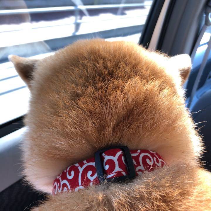 Da50afa3 2820 4e73 959a 87ce0a29ec3a 1606449976965