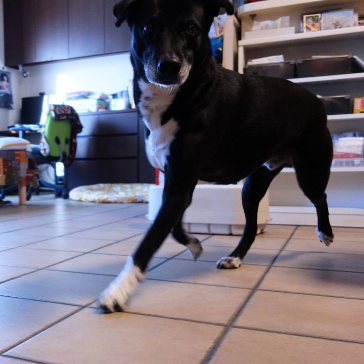 Da50b83e 6e22 4c7c 8b50 c7703b1115ec 1741567767390