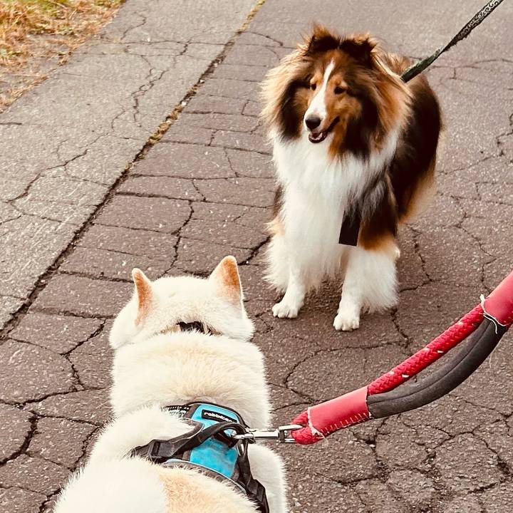 Da50c7a4 5e17 49d0 acf4 2bccee21ebf9 1759268679069