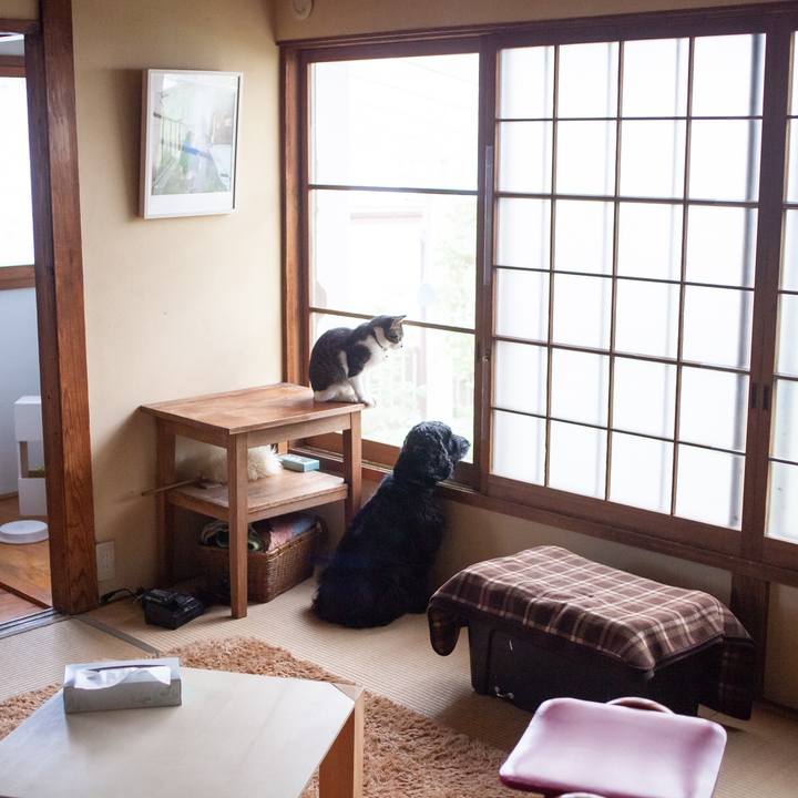 Da50d0cc ed26 45fb a3fd 74488d0c0bc1 1588640241363