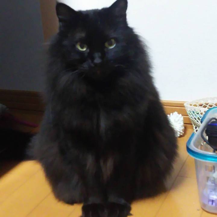 Da50e9a3 8faa 4e5e 9884 5a43f52e76f9 1550755367705