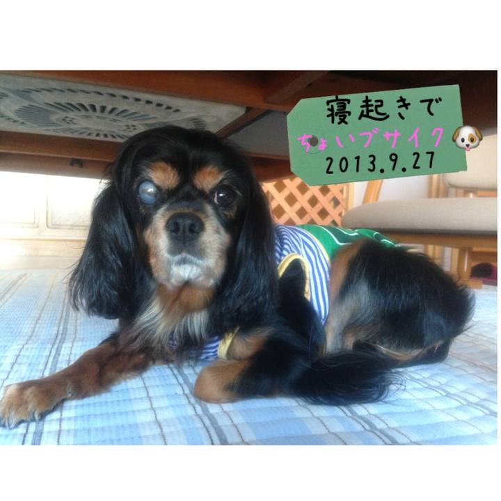 Da50ed6c 17fb 4d0c b34f eae6432628ef 1521095305431