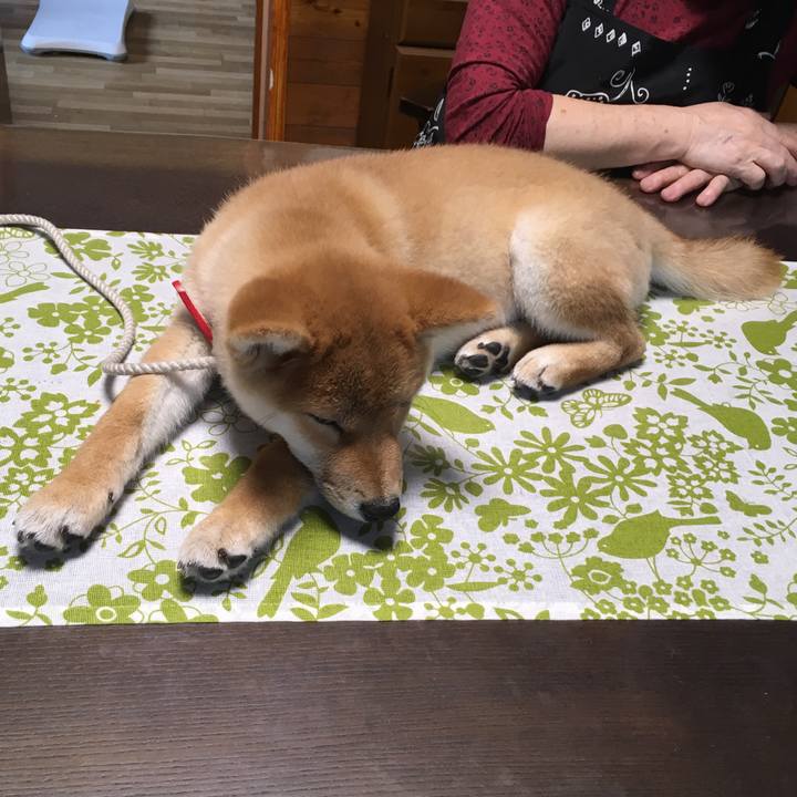 Da50fe9a 6d6a 4726 ad5c 36ae02827efc 1540099515127