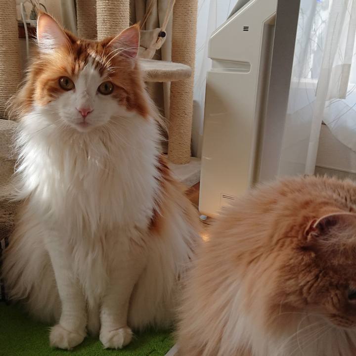 Da510d06 c721 49b7 a205 29358cf1b12b 1552816588267