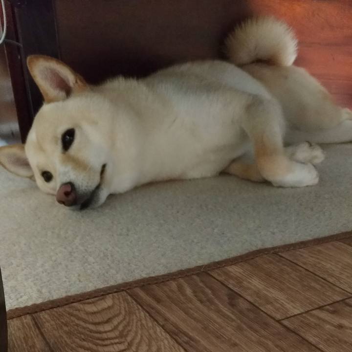 Da5157ce f0d8 4958 842b 5b37df110d22 1530181562738