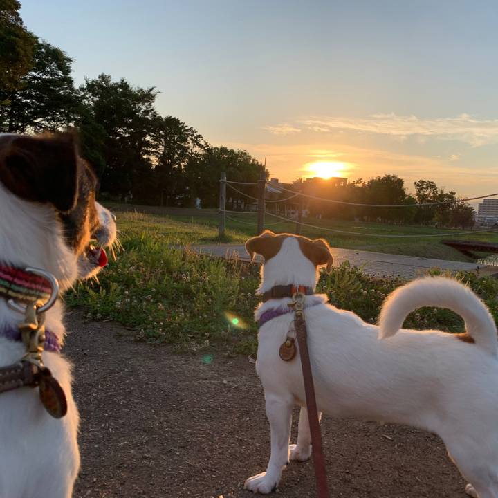 Da515887 7841 4313 a6cf ccc25cfc8327 1592215617379