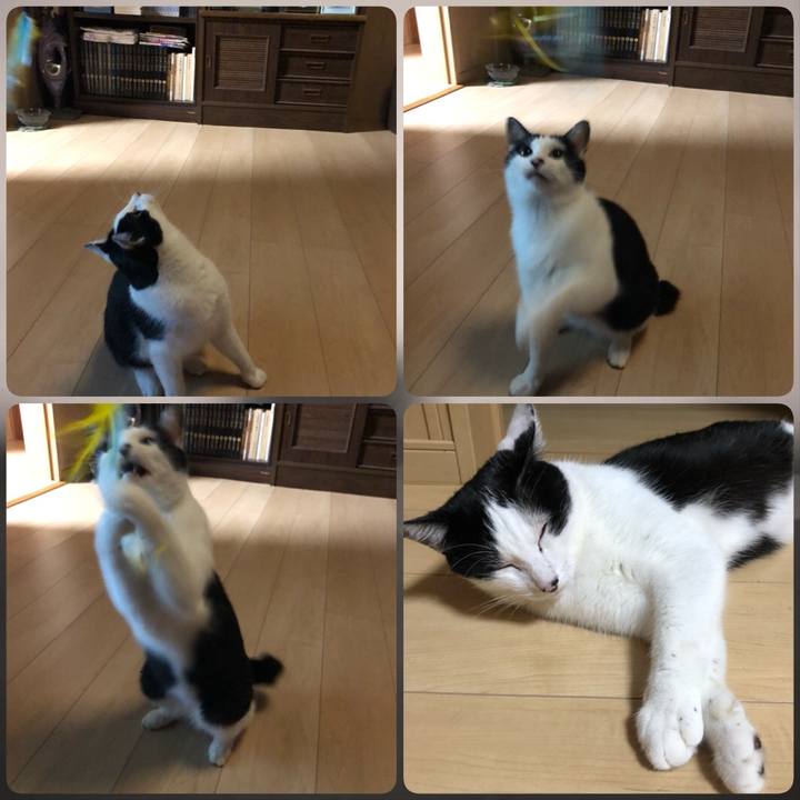 Da516cc7 22c1 466f 8b18 76fde6ff4aab 1569152877422