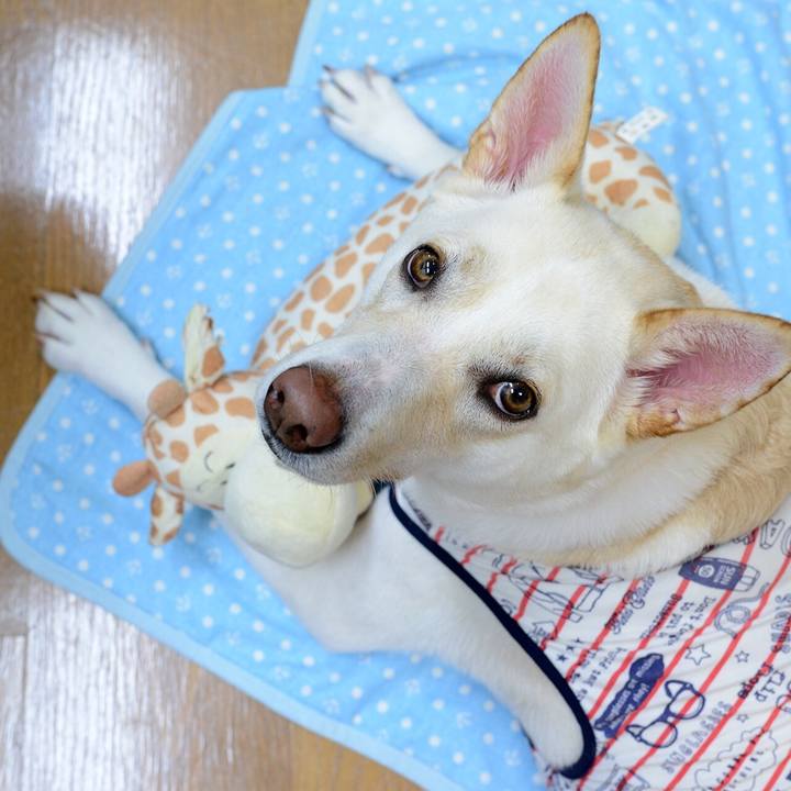 Da51be05 df13 4441 8460 df5341c67240 1532869545608