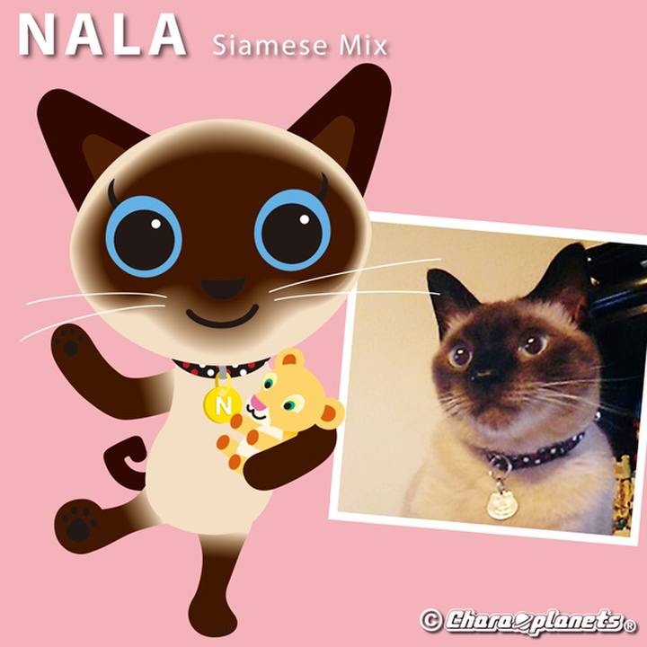 Da51d846 f12e 4aaf a010 87070618d6f5 1557881895343