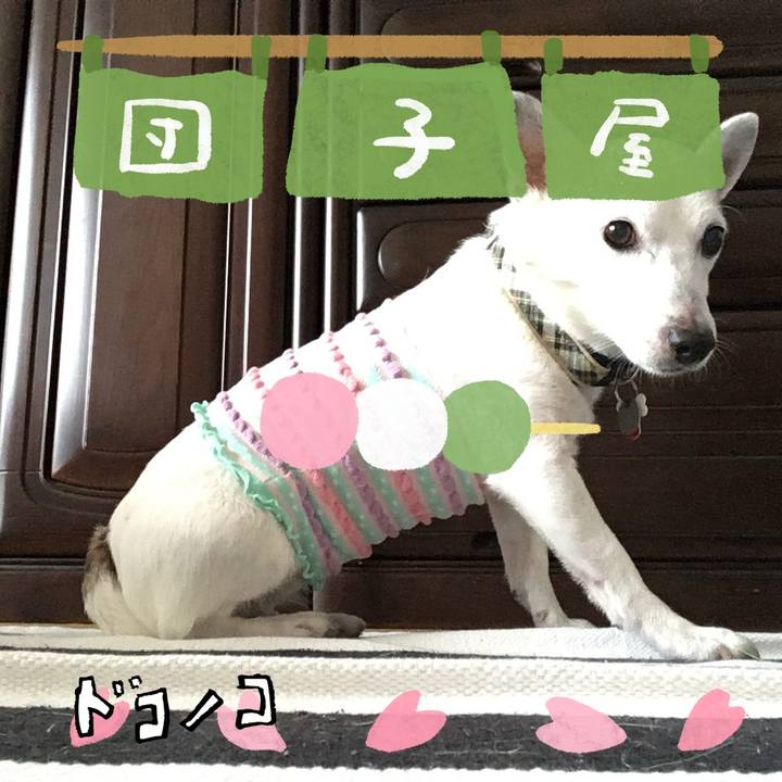 Da51e2f0 cf7f 4fbf be0e 98508b3c45fd 1712452410834