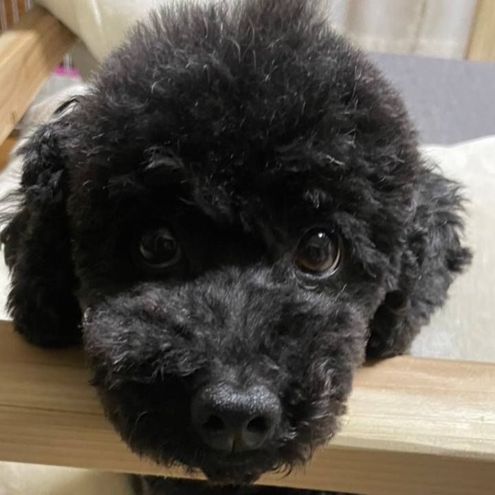 Da5208bf 4b26 4161 8d9f 9a64abbcea53 1651450578504