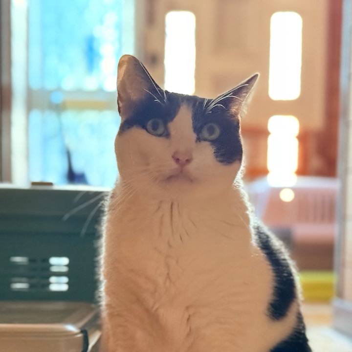 Da5240c5 4b4d 488b a03d 68e36b7aad6e 1729992756026