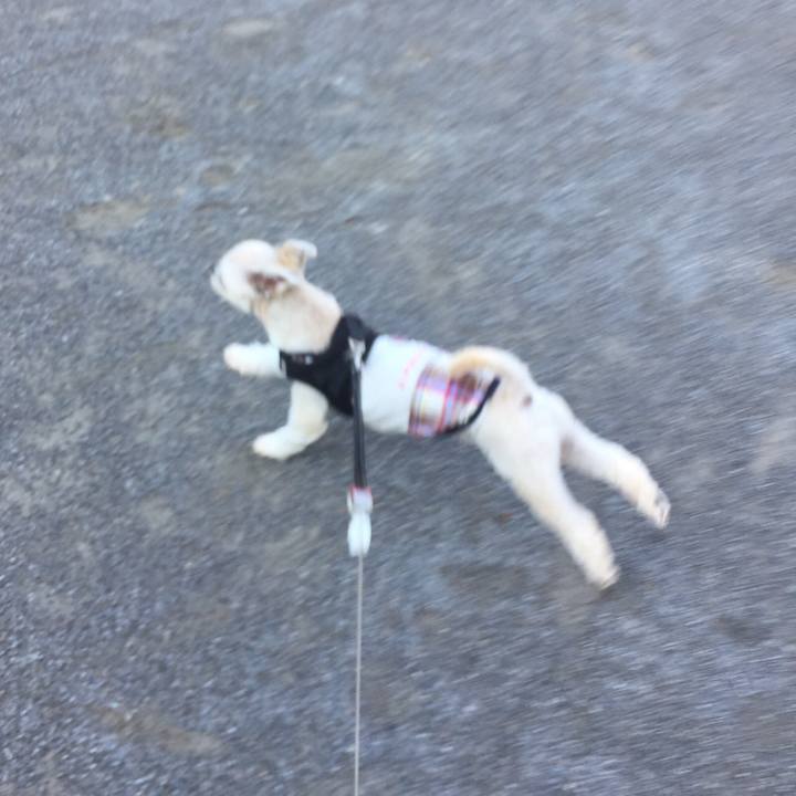 Da525ed6 31f1 403c be77 89c55397af9f 1533945154188