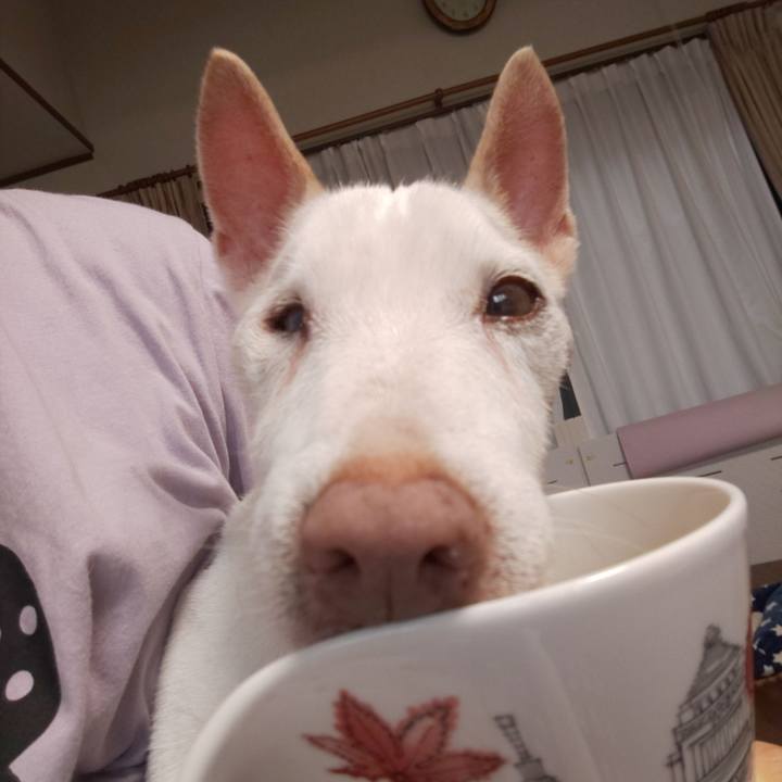 Da528880 21a9 47f6 a6ce bea8e347cf6c 1570848049778