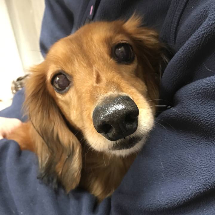 Da528912 5abc 4d2a 915b 74730b3f1194 1516174938990