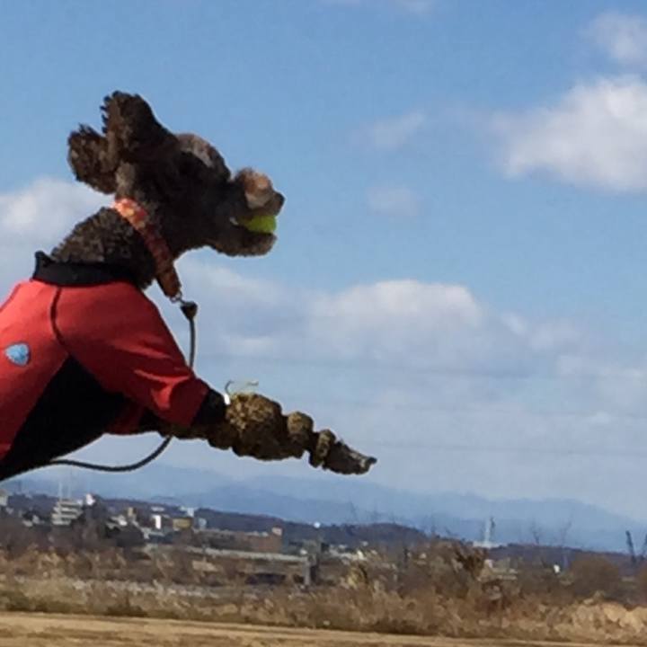 Da52b4bc 696d 497e 9b37 94914d57e347 1518440577777