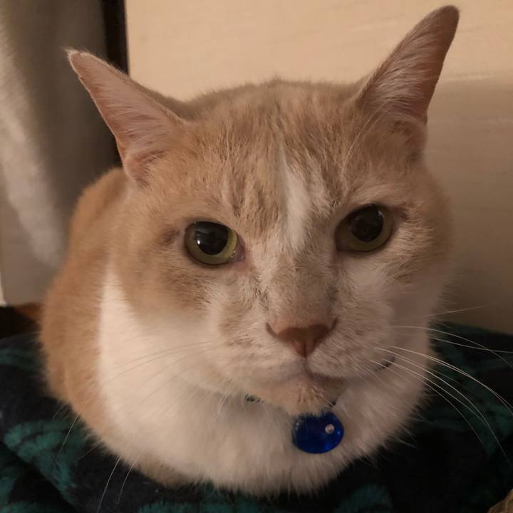 Da52d1ff 6a18 47fe a816 f2c9731ca32b 1539689527909