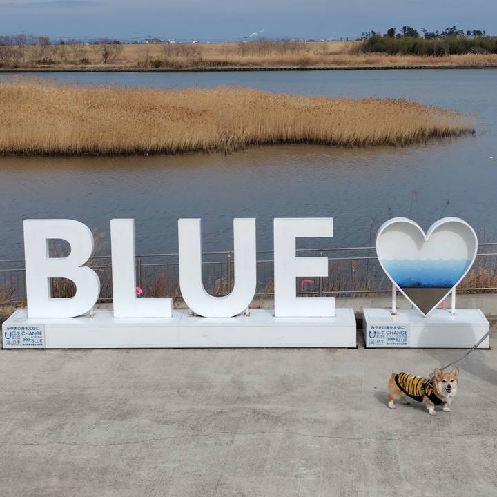 Da52da42 390a 4bfd 92b4 f04f7ecfd256 1770818008721