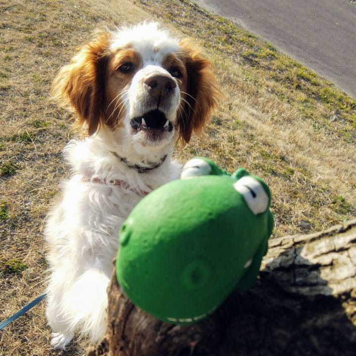 Da52e681 1d8b 43c8 bd18 7c0f2a2702a8 1551010307339