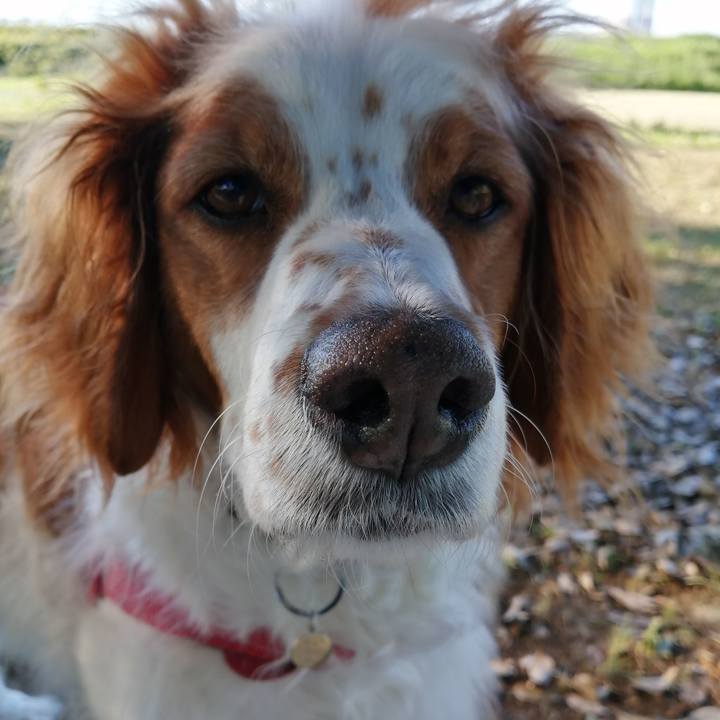 Da534e2c 482e 48b7 95a2 c5b3a4825992 1591518280818