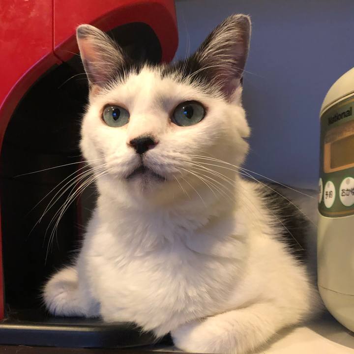 Da53fbd2 ad45 4de8 acbf 23c0b1a3ee9a 1600590847605