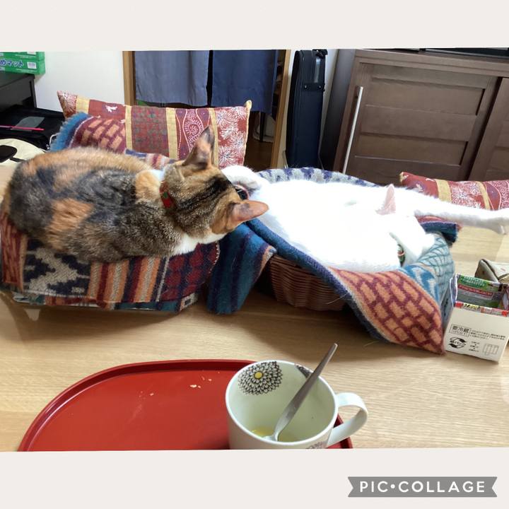 Da53fd48 399e 42c1 b1a1 f734b0d7b97f 1669071004756