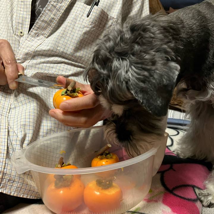 Da540286 b66c 4c3d b4e4 6f14f321e177 1730028564481