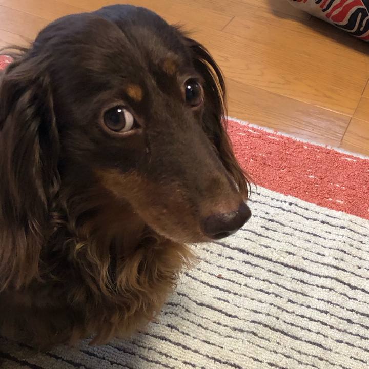 Da54384a 525a 4018 a60c 726aa69aa5a8 1686470851333