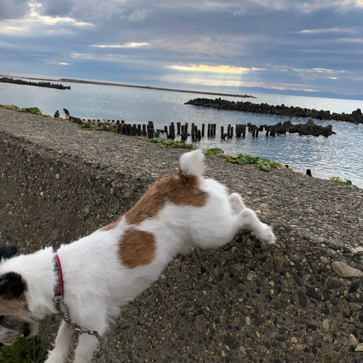 Da545a3f 013a 47ee 9f81 115a124c2329 1595064307839