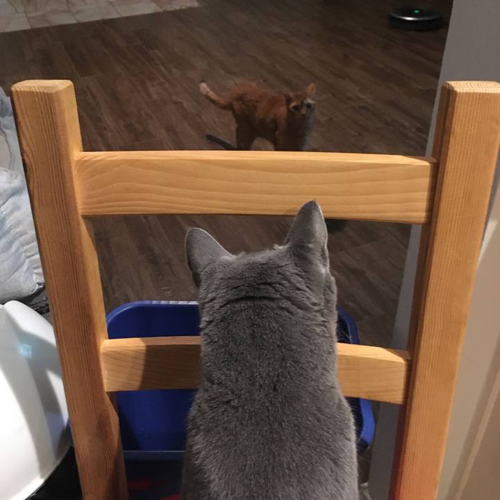 Da547155 40d7 41e2 9da0 76bb6418d181 1664857922292