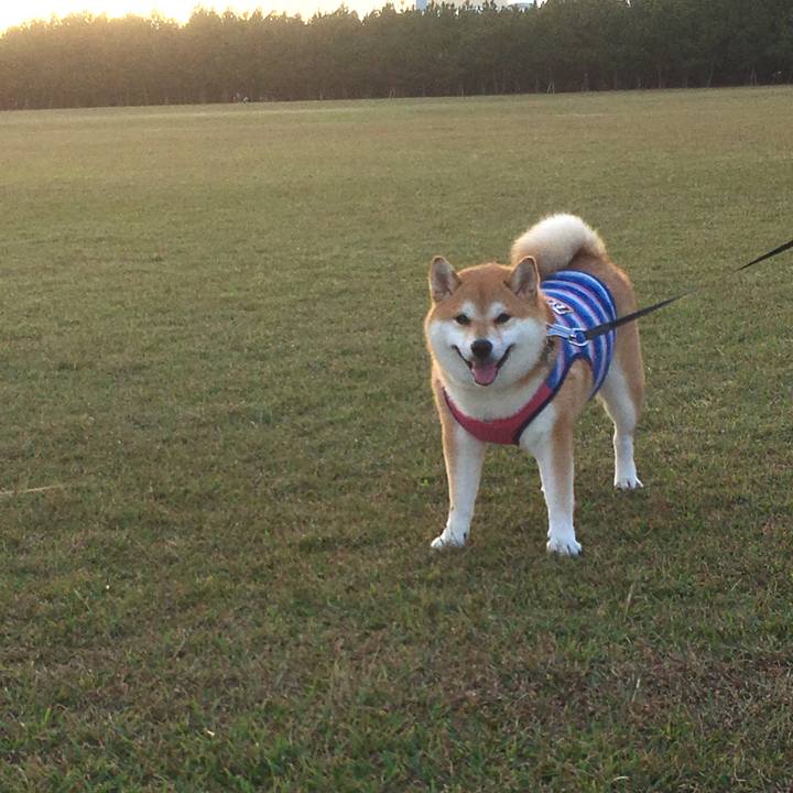 Da547f36 e145 45f3 9f30 7fe7f05617a1 1539074589490