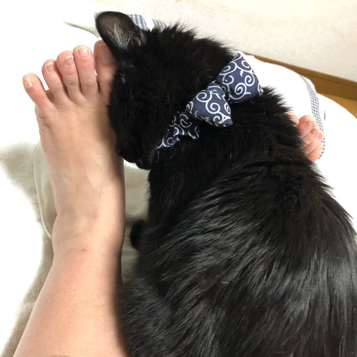 Da547f7f 6382 4df0 b44d e24b891c57ea 1578060991403