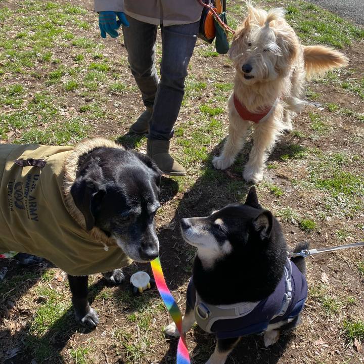 Da54a865 06bc 47fd 9fa0 3c9381d5b47e 1709016524212