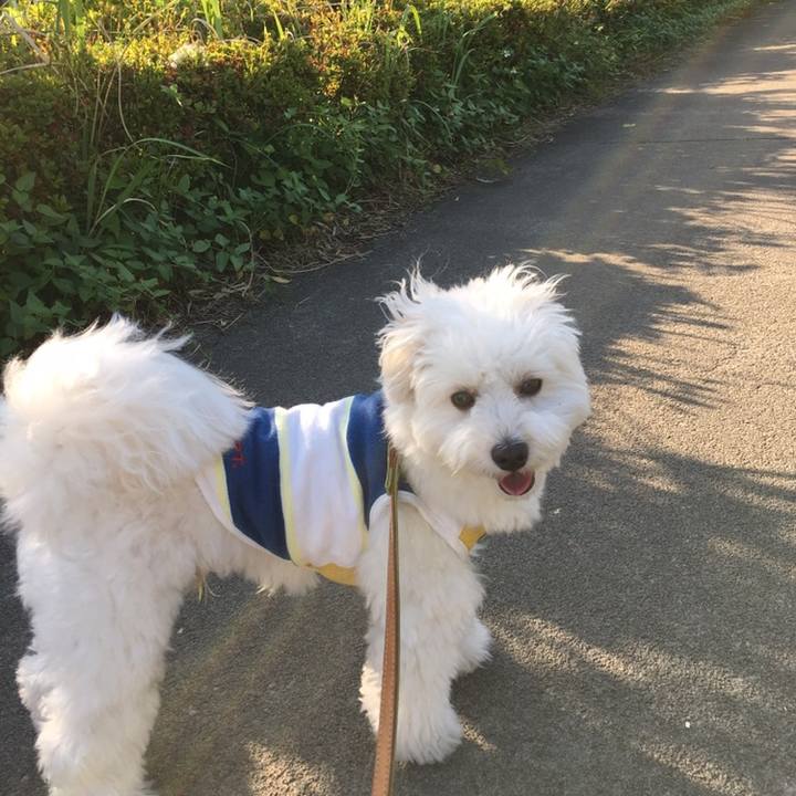 Da54b4ca de42 4cc5 a90f d2eb8e800d96 1558617345949