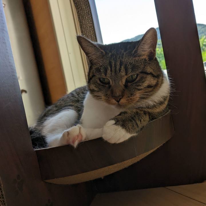 Da54c261 6f25 4c2d 91fe 5ebc7187fa29 1689201608968