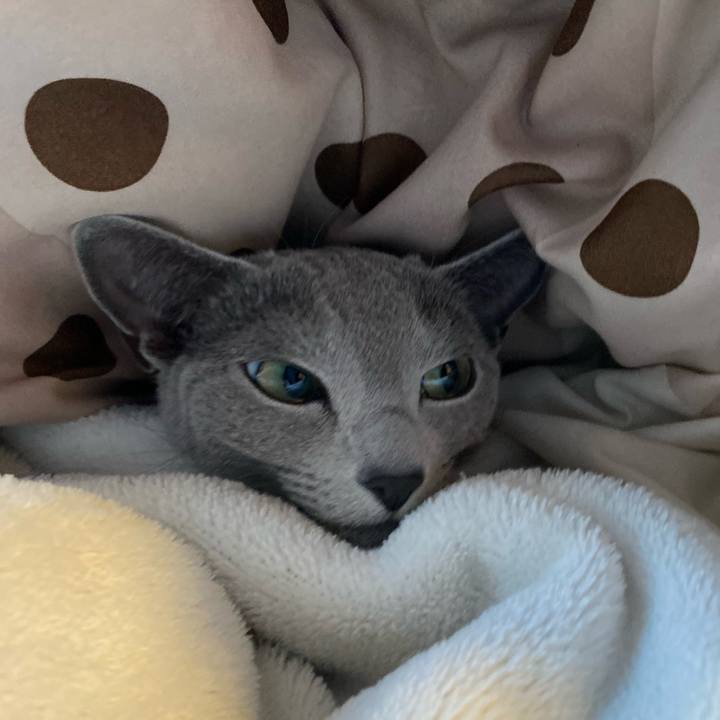 Da54dbab 5bc6 41dd 95e8 cef80f7494bb 1676689008693