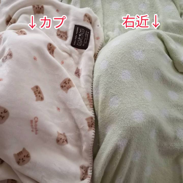 Da54f390 6065 4618 86ed 868a917d6068 1602992712334