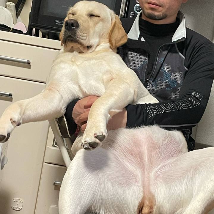 Da552d73 7209 4eb1 8007 7f0951e97cca 1644334215903