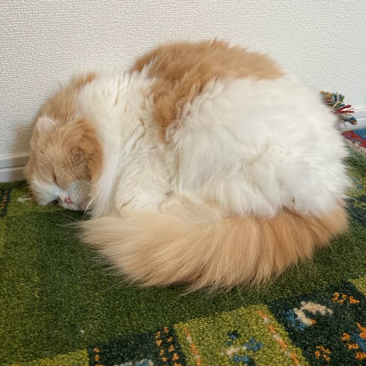 Da5534ad 8c22 4883 939d c4eeadb180fa 1618440074804