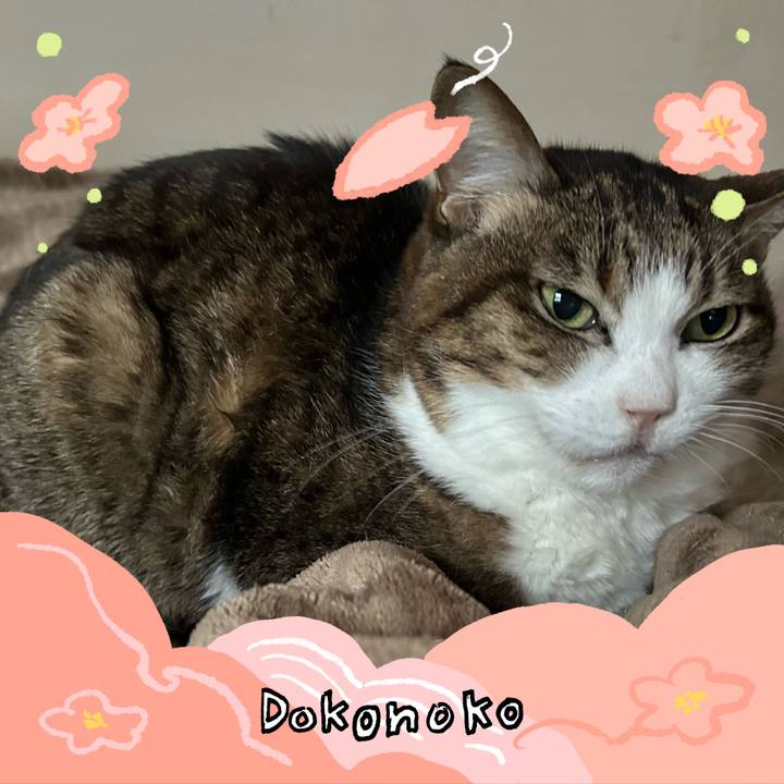 Da5542b2 e5b1 4dfb 8d54 8ac0f0c1ae12 1775510665833