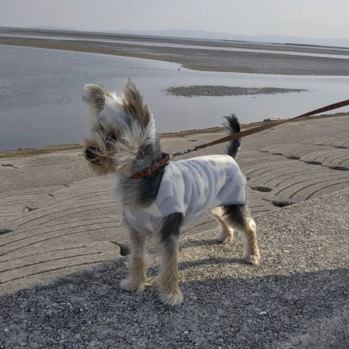 Da556995 ed78 406d b950 8600598190c8 1545202708620