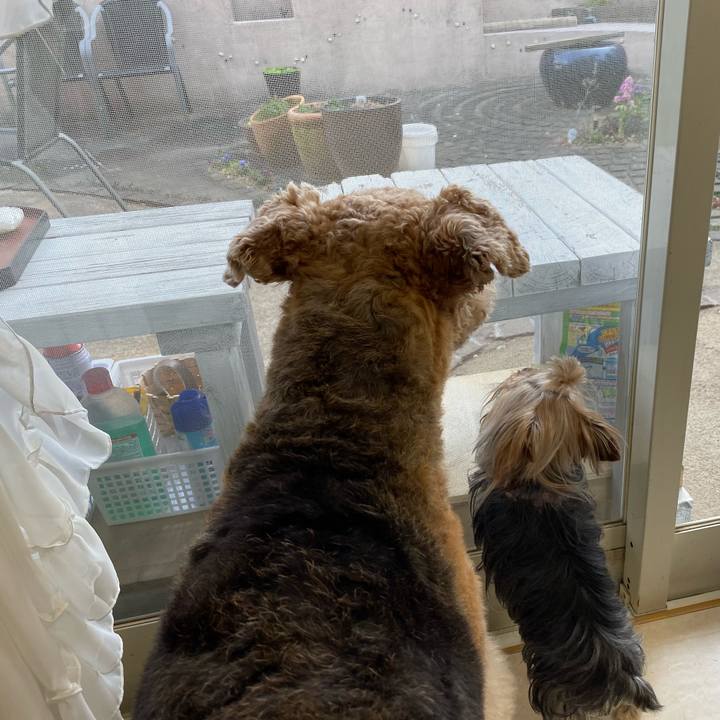 Da558649 fb6f 453e be8e 95de4cad649f 1582463585000