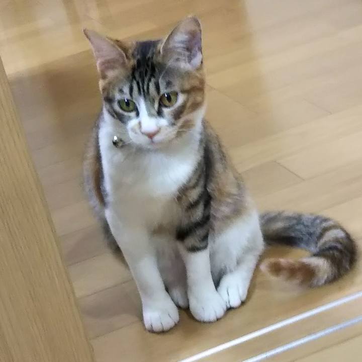 Da55ada2 7a1d 4b34 8fd5 063f664b3665 1640174858479