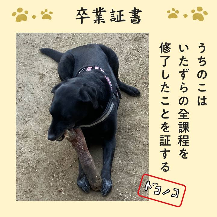 Da55c118 a3fb 4d53 a892 b077f45b916b 1771936271751