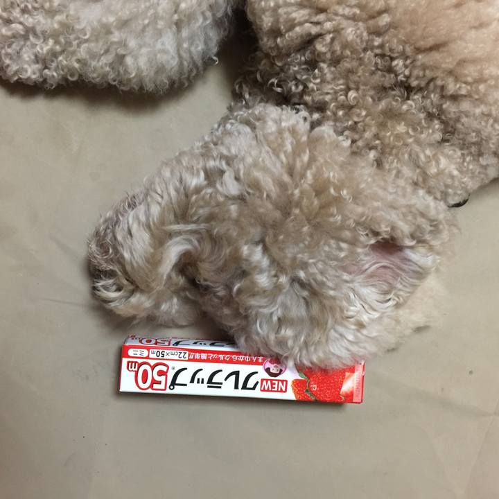 Da55d9a7 2052 42fc 8cdd dfbf38e2dad5 1584967407241