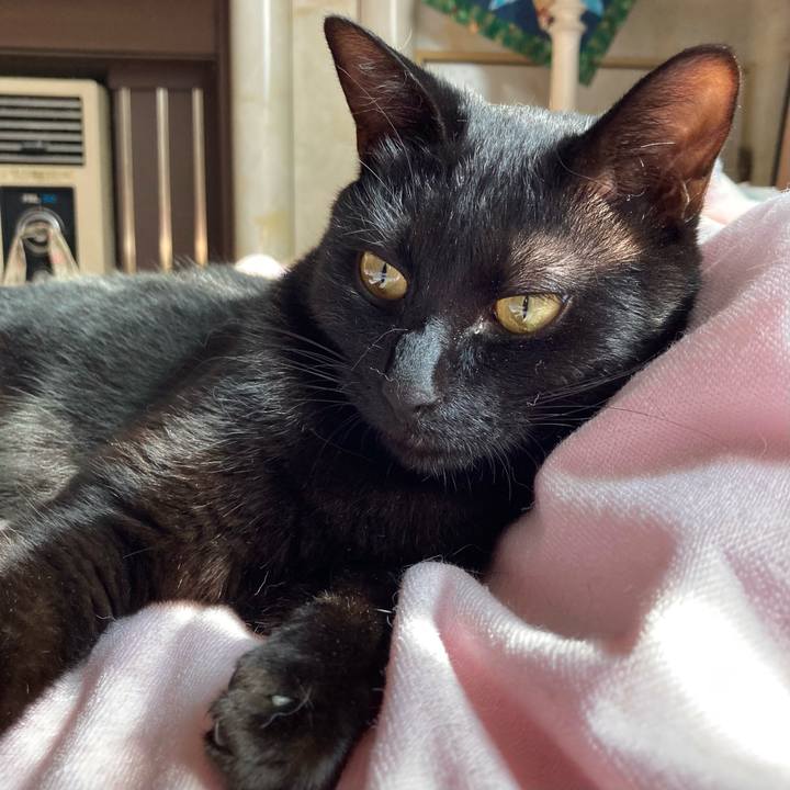 Da561af0 75ff 4fb6 a933 761c47bb8ab2 1659166520696