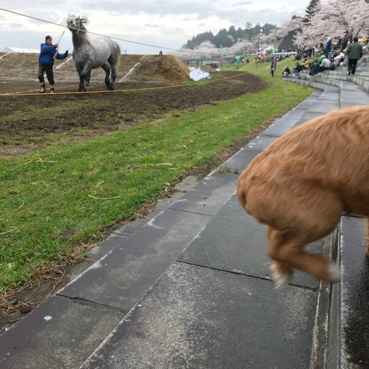 Da562e78 f678 41ce baee 181e3ec71f5c 1523754775972