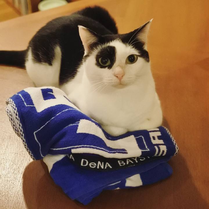 Da563949 218e 472b 8a25 fc80d3da9332 1624111833884