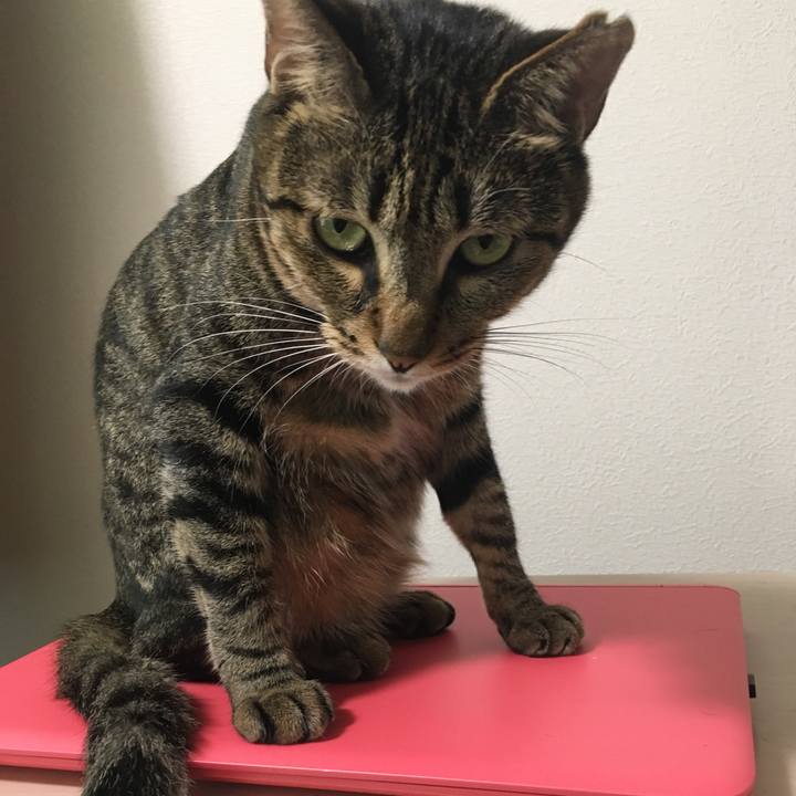 Da5643fe fd24 48f8 95c5 3abc6a30b7f1 1531807345931